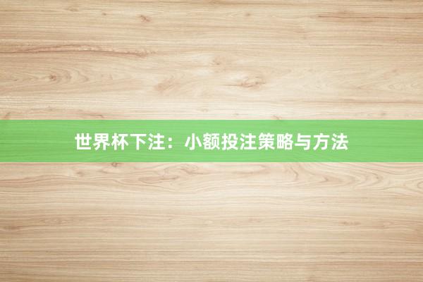 世界杯下注：小额投注策略与方法