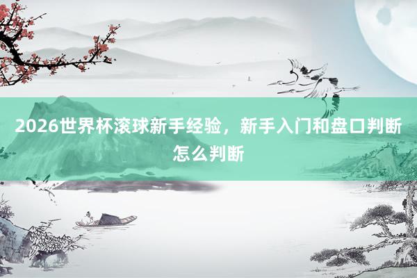 2026世界杯滚球新手经验，新手入门和盘口判断怎么判断