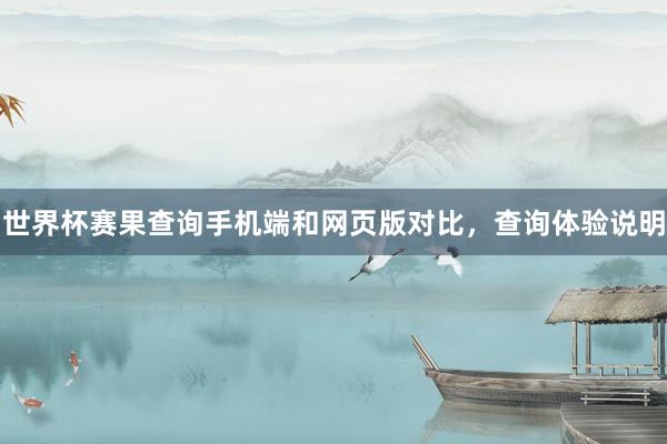 世界杯赛果查询手机端和网页版对比，查询体验说明