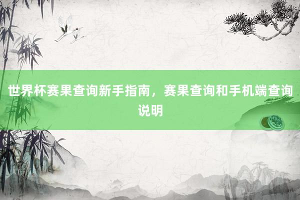 世界杯赛果查询新手指南，赛果查询和手机端查询说明