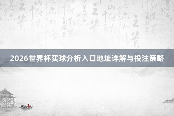 2026世界杯买球分析入口地址详解与投注策略